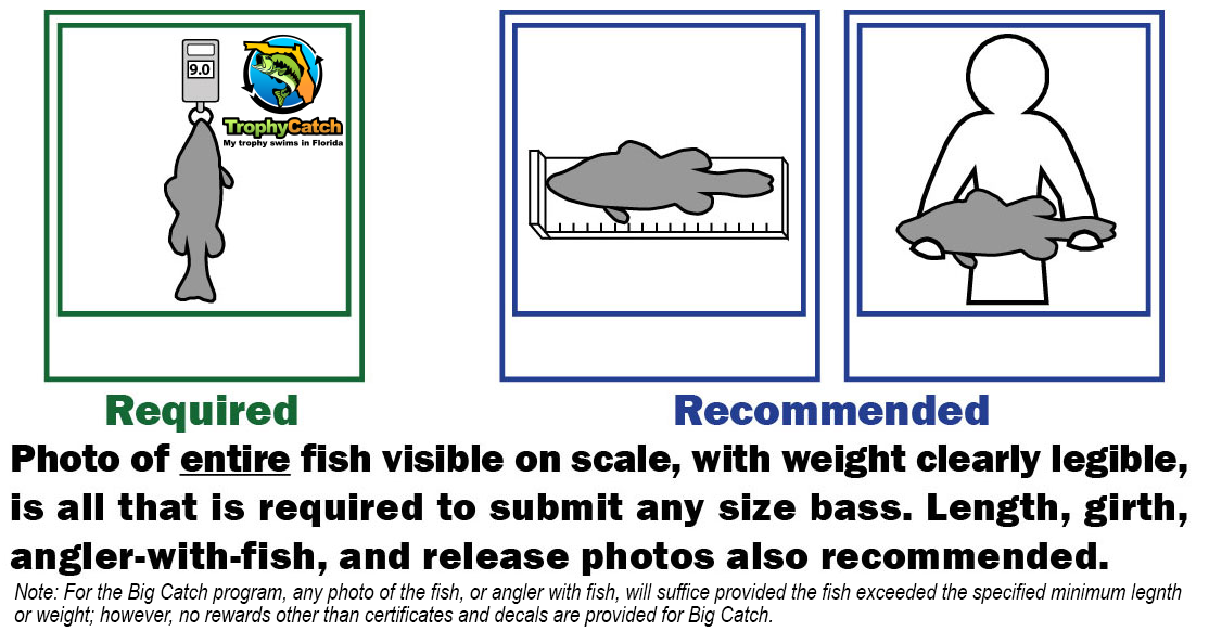 What photo/video documentation is required for a TrophyCatch entry?