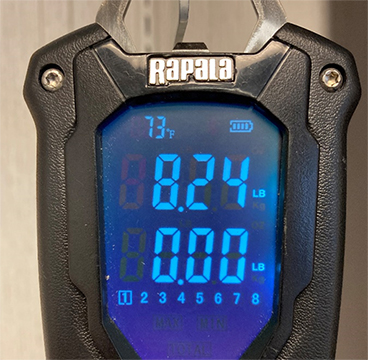 Rapala 50 lbs High Contrast Digital Scale