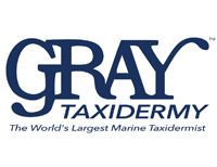 Gray Taxidermy